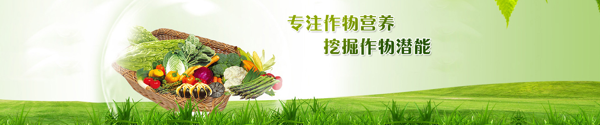 常见问题